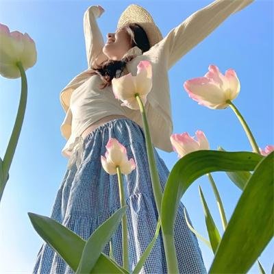 金屋梦痕